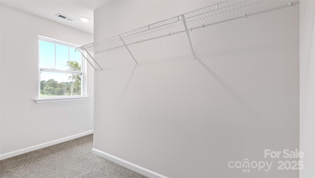 spacious closet featuring carpet and visible vents