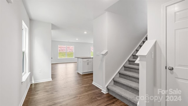 stairway featuring hardwood / wood-style flooring