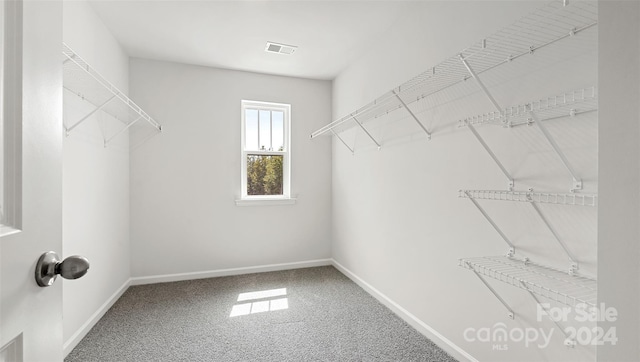 spacious closet with carpet flooring