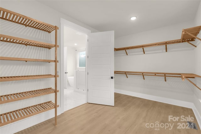 spacious closet with hardwood / wood-style floors