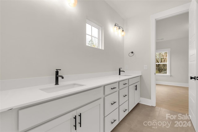 bathroom with vanity, a healthy amount of sunlight, and wood-type flooring