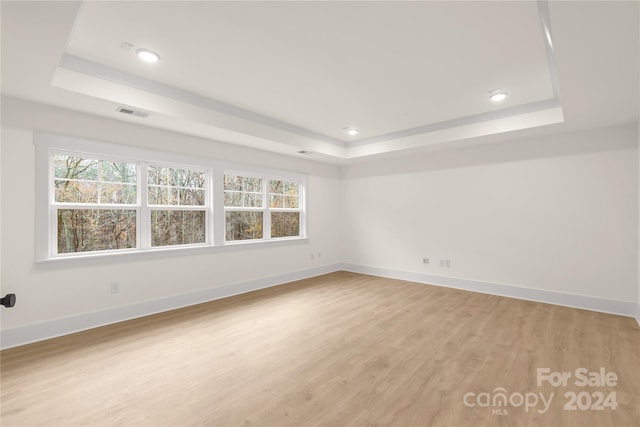 spare room with a raised ceiling, light wood-type flooring, and a wealth of natural light