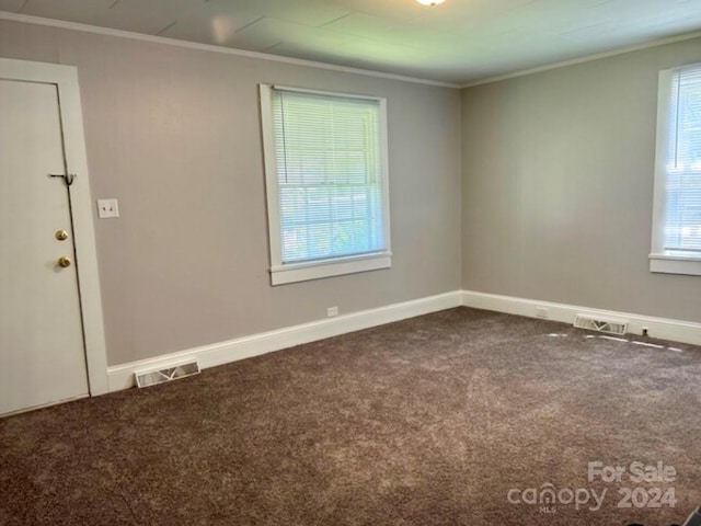 carpeted spare room featuring ornamental molding and a healthy amount of sunlight