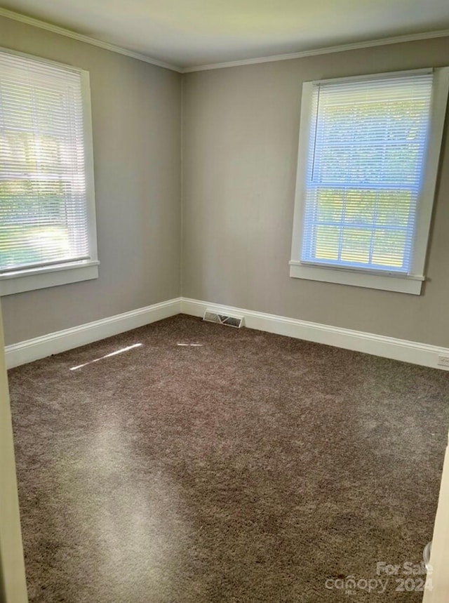 unfurnished room with carpet flooring and ornamental molding