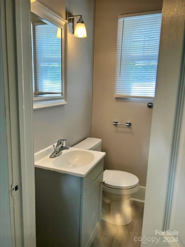 bathroom with wood-type flooring, vanity, and toilet