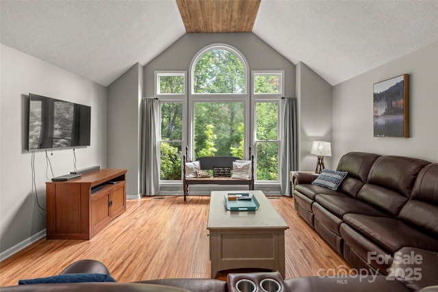 living room with vaulted ceiling, light hardwood / wood-style floors, and a healthy amount of sunlight