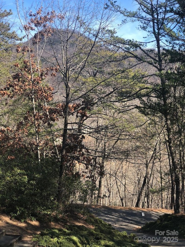 property view of mountains