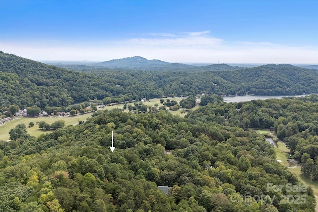 property view of mountains featuring a water view