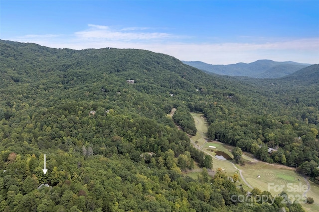 property view of mountains