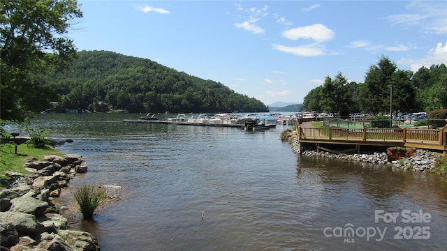 property view of water with a dock