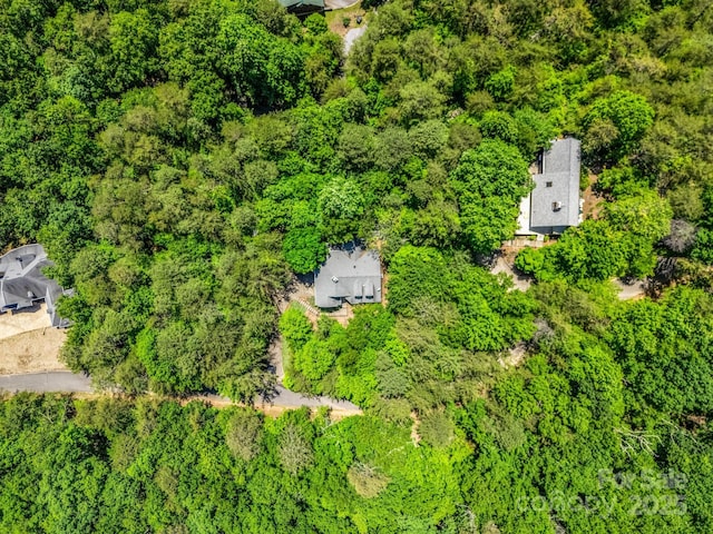 212 Ridgeway Rd, Lake Lure, NC 28746 - aerial view of a forest