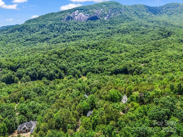 212 Ridgeway Rd, Lake Lure, NC 28746 - view of mountain backdrop with a heavily wooded area