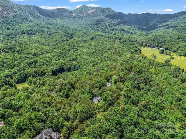 212 Ridgeway Rd, Lake Lure, NC 28746 - aerial view of a forest and a mountain backdrop