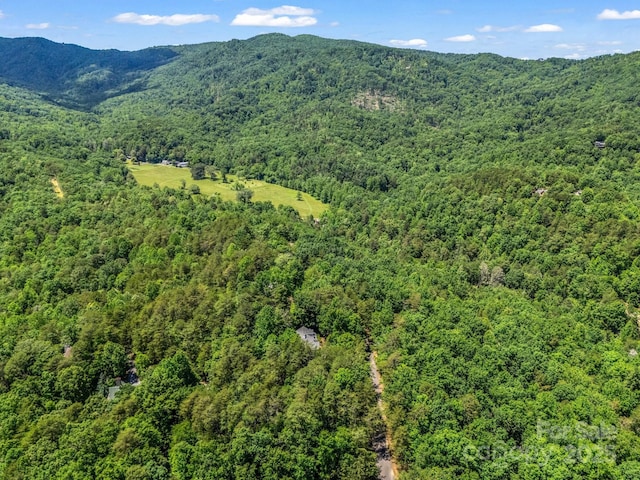 212 Ridgeway Rd, Lake Lure, NC 28746 - aerial view of a forest and a mountainous background