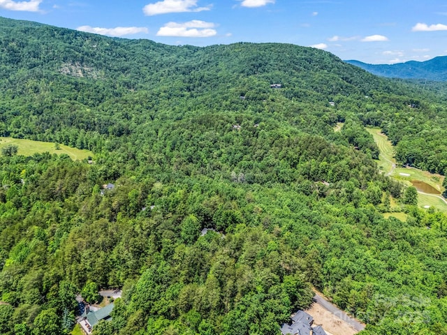 212 Ridgeway Rd, Lake Lure, NC 28746 - mountain view with a heavily wooded area