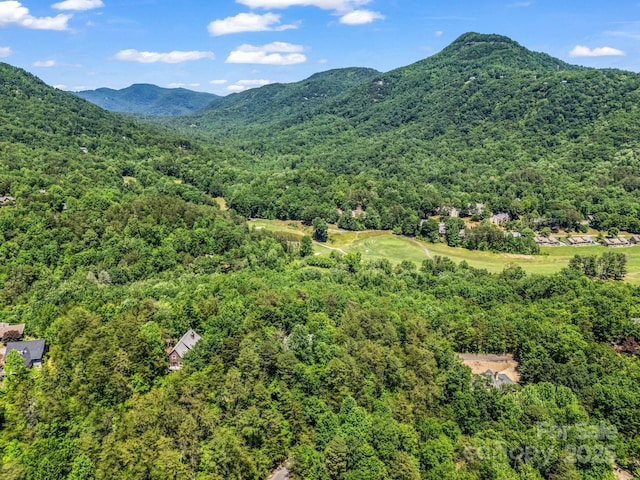 212 Ridgeway Rd, Lake Lure, NC 28746 - view of mountain background featuring a heavily wooded area