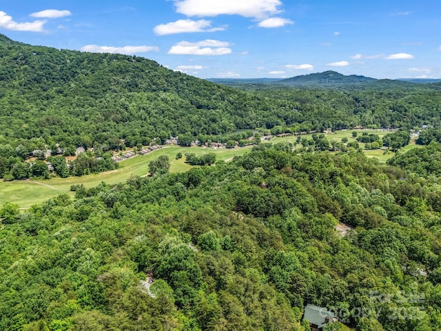 212 Ridgeway Rd, Lake Lure, NC 28746 - view of mountain backdrop featuring a forest