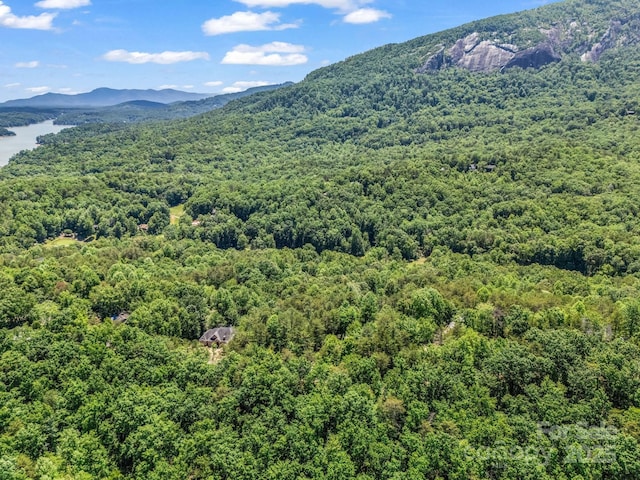 212 Ridgeway Rd, Lake Lure, NC 28746 - view of mountain backdrop with a heavily wooded area and a large body of water
