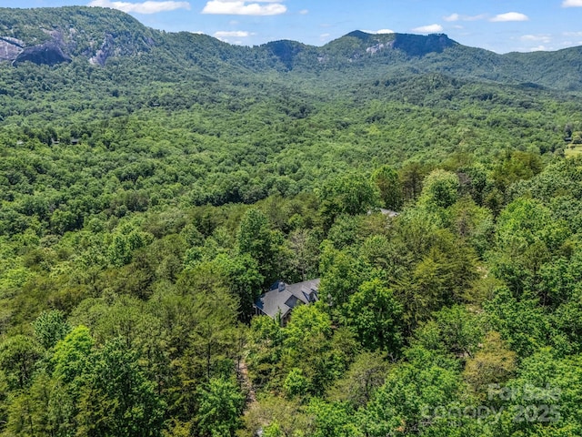 212 Ridgeway Rd, Lake Lure, NC 28746 - bird's eye view of a forest and a mountainous background
