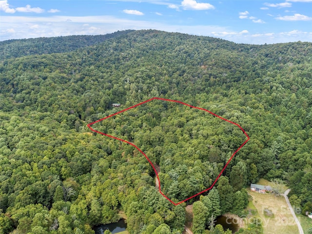 627 Pond Rd, Spruce Pine NC, 28777 land for sale