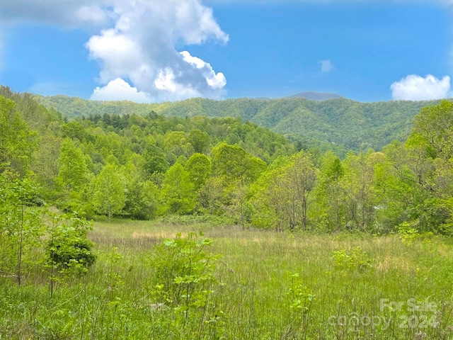 Listing photo 3 for TBD Baltimore Branch Rd, Hot Springs NC 28743