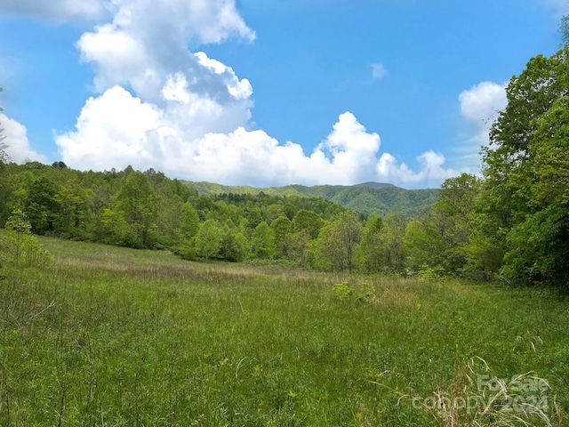 TBD Baltimore Branch Rd, Hot Springs NC, 28743 land for sale