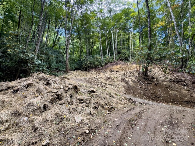 LOT59 Black Rock Rd Unit 59, Qualla, NC 28719