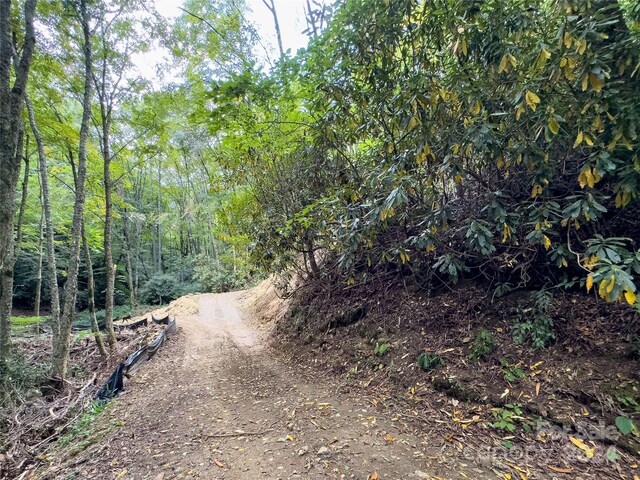 LOT59 Black Rock Rd Unit 59, Qualla, NC 28719