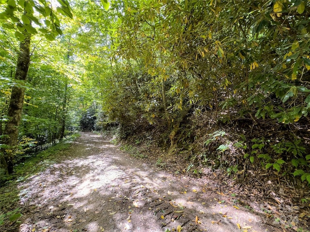 LOT59 Black Rock Rd Unit 59, Qualla, NC 28719