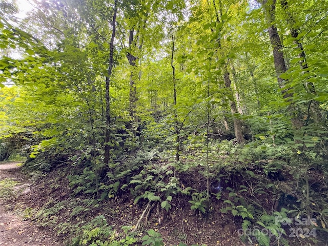 LOT59 Black Rock Rd Unit 59, Qualla, NC 28719