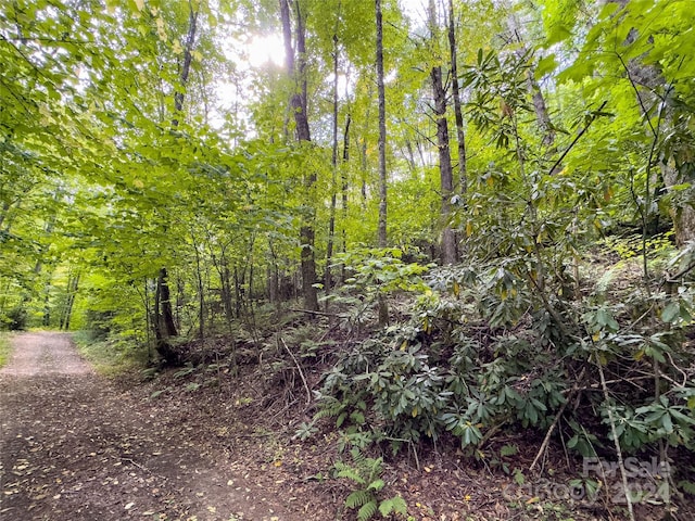LOT59 Black Rock Rd Unit 59, Qualla, NC 28719