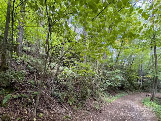 LOT59 Black Rock Rd Unit 59, Qualla, NC 28719