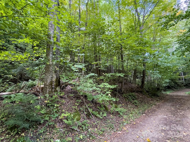 LOT59 Black Rock Rd Unit 59, Qualla, NC 28719