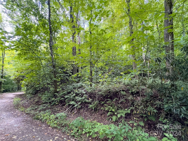 LOT59 Black Rock Rd Unit 59, Qualla, NC 28719