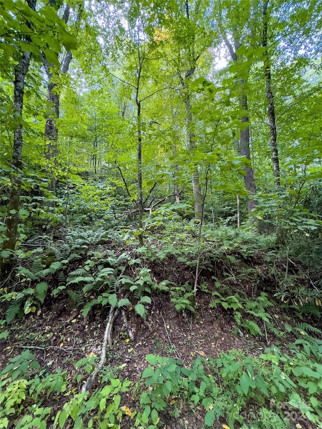 LOT59 Black Rock Rd Unit 59, Qualla, NC 28719