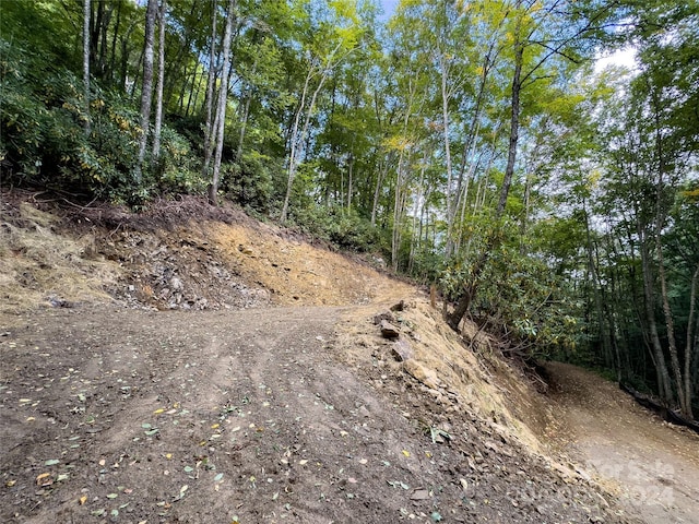 LOT59 Black Rock Rd Unit 59, Qualla, NC 28719