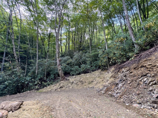 LOT59 Black Rock Rd Unit 59, Qualla, NC 28719