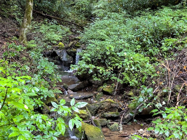 LOT59 Black Rock Rd Unit 59, Qualla, NC 28719