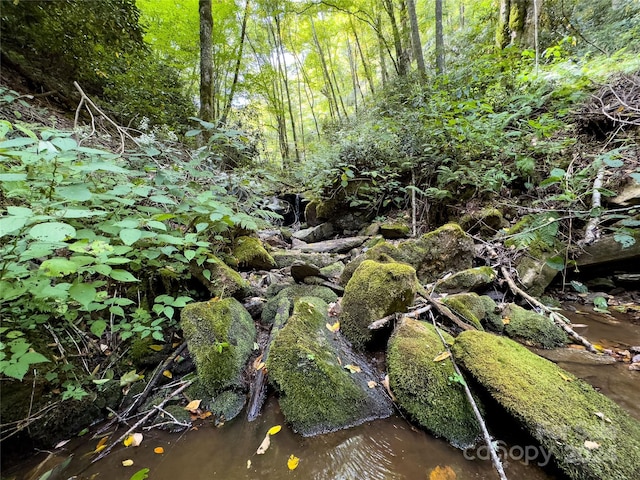 LOT59 Black Rock Rd Unit 59, Qualla, NC 28719