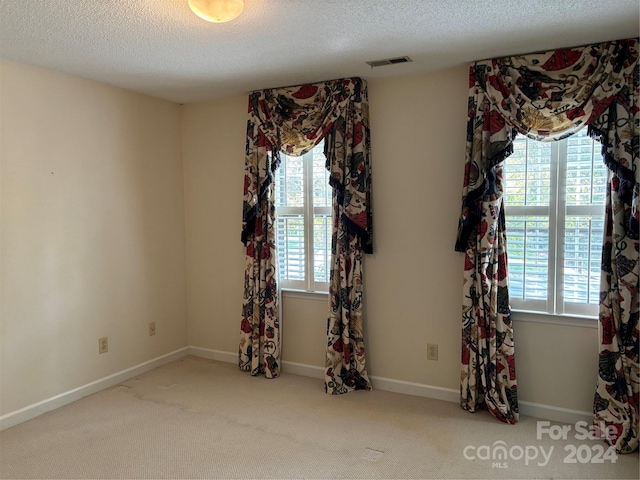 carpeted empty room featuring a textured ceiling and plenty of natural light