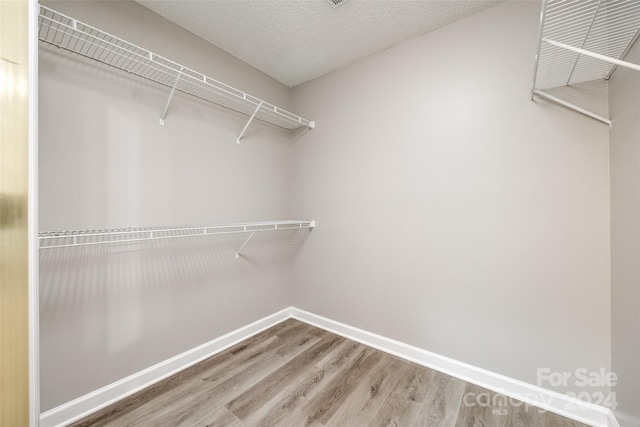 walk in closet featuring wood-type flooring