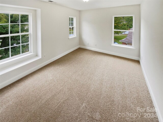 spare room featuring carpet and plenty of natural light