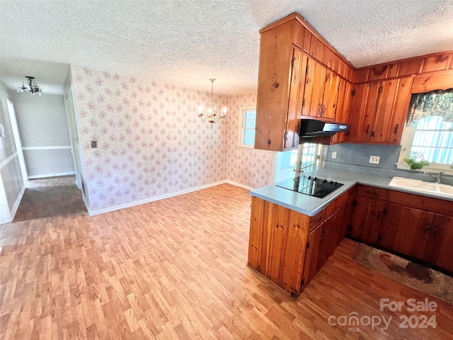 kitchen featuring pendant lighting, black electric stovetop, light hardwood / wood-style floors, a textured ceiling, and sink