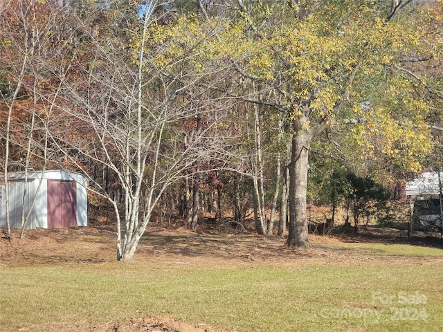 view of yard featuring an outdoor structure