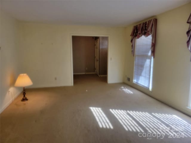 empty room with light carpet and a wealth of natural light