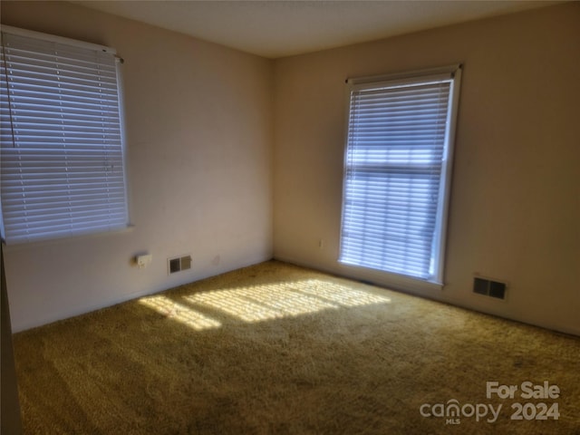 spare room with carpet floors