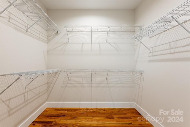 walk in closet featuring hardwood / wood-style flooring