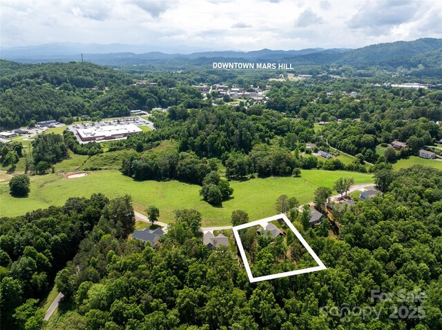 224 Country Dr, Mars Hill, NC 28754 - aerial overview of property's location with property boundaries highlighted and mountains