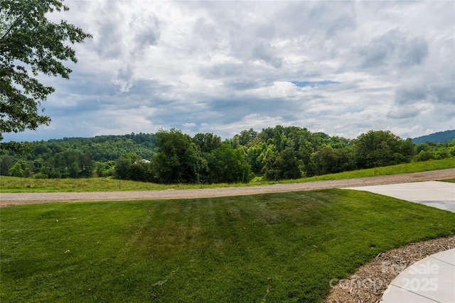 224 Country Dr, Mars Hill, NC 28754 - view of community with a yard and a forest view