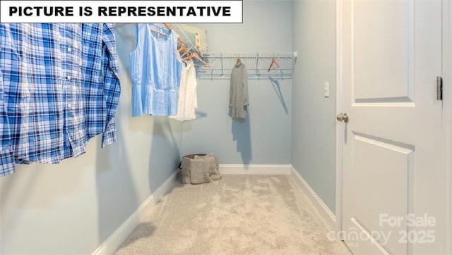 walk in closet featuring carpet floors